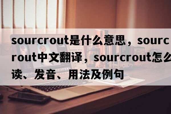sourcrout是什么意思，sourcrout中文翻譯，sourcrout怎么讀、發(fā)音、用法及例句