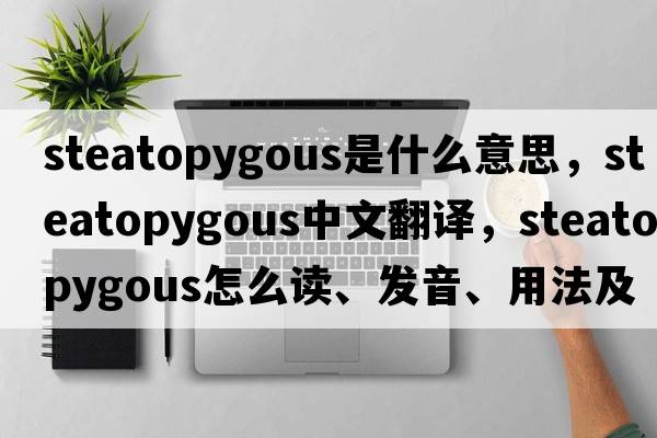 steatopygous是什么意思，steatopygous中文翻譯，steatopygous怎么讀、發(fā)音、用法及例句