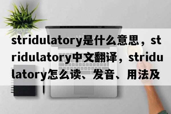 stridulatory是什么意思，stridulatory中文翻譯，stridulatory怎么讀、發(fā)音、用法及例句