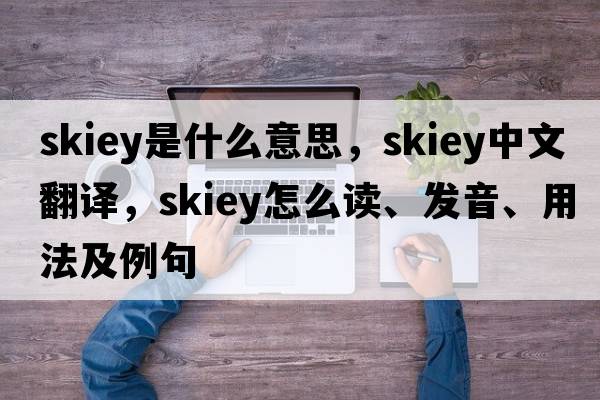 skiey是什么意思，skiey中文翻譯，skiey怎么讀、發(fā)音、用法及例句