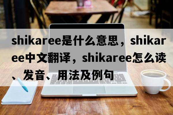 shikaree是什么意思，shikaree中文翻譯，shikaree怎么讀、發(fā)音、用法及例句