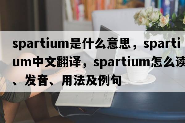 spartium是什么意思，spartium中文翻譯，spartium怎么讀、發(fā)音、用法及例句