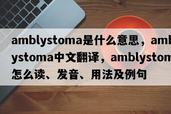 Amblystoma是什么意思，Amblystoma中文翻譯，Amblystoma怎么讀、發(fā)音、用法及例句