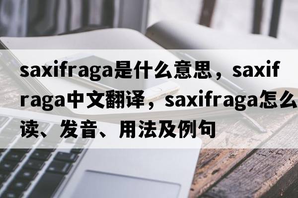 saxifraga是什么意思，saxifraga中文翻譯，saxifraga怎么讀、發(fā)音、用法及例句