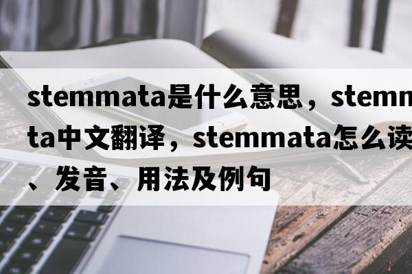 stemmata是什么意思，stemmata中文翻譯，stemmata怎么讀、發(fā)音、用法及例句