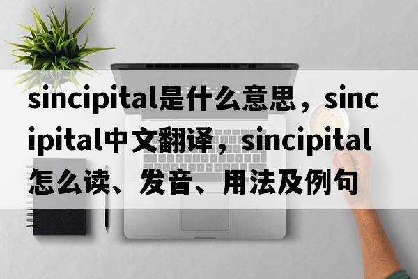 sincipital是什么意思，sincipital中文翻譯，sincipital怎么讀、發(fā)音、用法及例句
