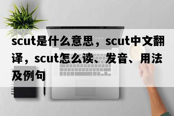 scut是什么意思，scut中文翻譯，scut怎么讀、發(fā)音、用法及例句