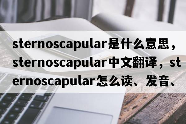 sternoscapular是什么意思，sternoscapular中文翻譯，sternoscapular怎么讀、發(fā)音、用法及例句