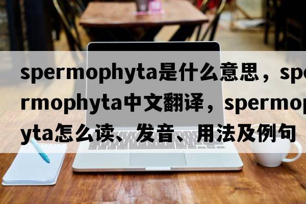 Spermophyta是什么意思，Spermophyta中文翻譯，Spermophyta怎么讀、發(fā)音、用法及例句