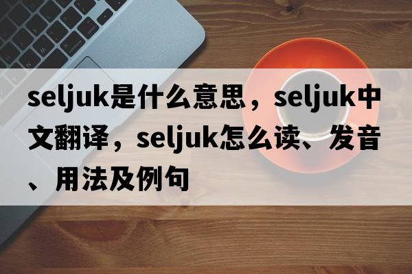 Seljuk是什么意思，Seljuk中文翻譯，Seljuk怎么讀、發(fā)音、用法及例句