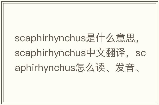 Scaphirhynchus是什么意思，Scaphirhynchus中文翻譯，Scaphirhynchus怎么讀、發(fā)音、用法及例句