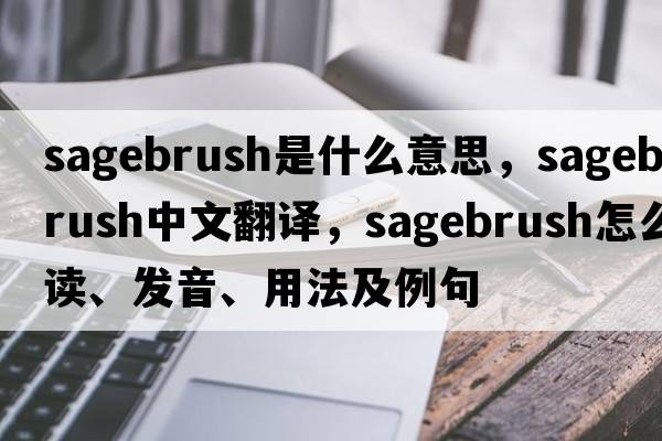 sagebrush是什么意思，sagebrush中文翻譯，sagebrush怎么讀、發(fā)音、用法及例句