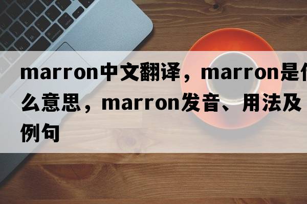 marron中文翻譯，marron是什么意思，marron發(fā)音、用法及例句