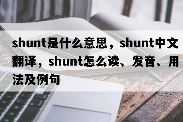 shunt是什么意思，shunt中文翻譯，shunt怎么讀、發(fā)音、用法及例句