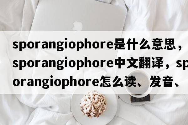 sporangiophore是什么意思，sporangiophore中文翻譯，sporangiophore怎么讀、發(fā)音、用法及例句