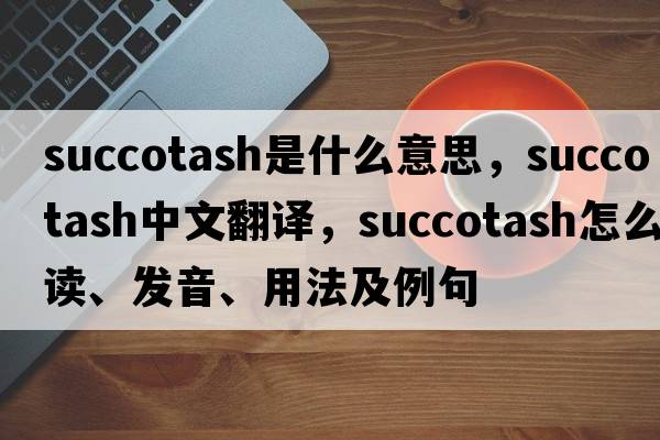 succotash是什么意思，succotash中文翻譯，succotash怎么讀、發(fā)音、用法及例句