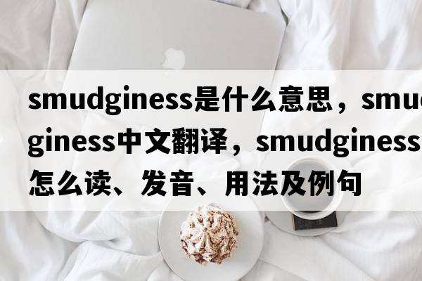 smudginess是什么意思，smudginess中文翻譯，smudginess怎么讀、發(fā)音、用法及例句