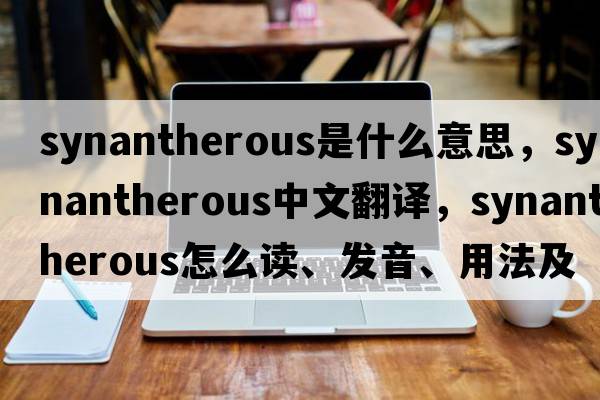 synantherous是什么意思，synantherous中文翻譯，synantherous怎么讀、發(fā)音、用法及例句