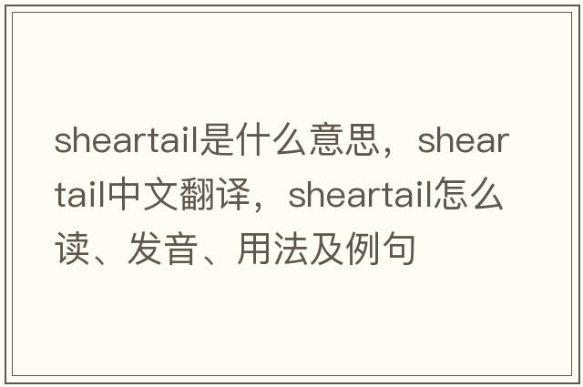 sheartail是什么意思，sheartail中文翻譯，sheartail怎么讀、發(fā)音、用法及例句