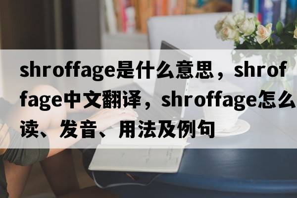 shroffage是什么意思，shroffage中文翻譯，shroffage怎么讀、發(fā)音、用法及例句