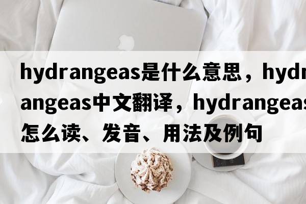 hydrangeas是什么意思，hydrangeas中文翻譯，hydrangeas怎么讀、發(fā)音、用法及例句