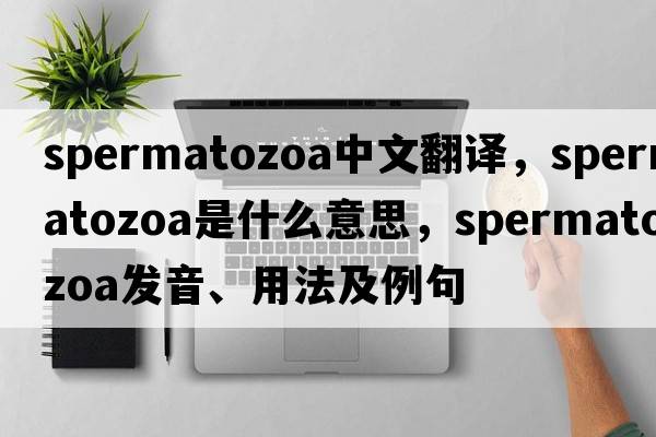 spermatozoa中文翻譯，spermatozoa是什么意思，spermatozoa發(fā)音、用法及例句