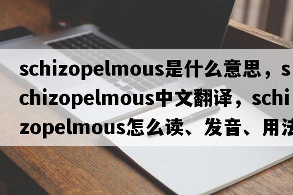 schizopelmous是什么意思，schizopelmous中文翻譯，schizopelmous怎么讀、發(fā)音、用法及例句