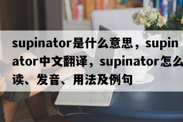 supinator是什么意思，supinator中文翻譯，supinator怎么讀、發(fā)音、用法及例句