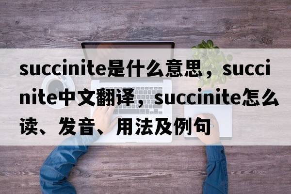 succinite是什么意思，succinite中文翻譯，succinite怎么讀、發(fā)音、用法及例句