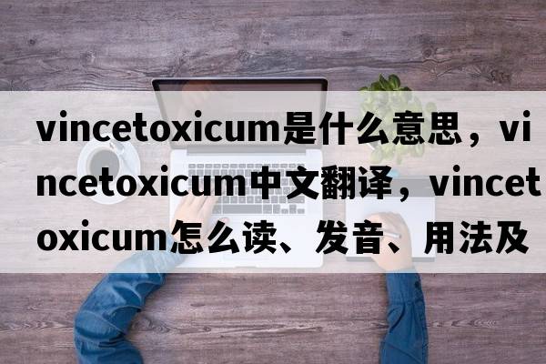 vincetoxicum是什么意思，vincetoxicum中文翻譯，vincetoxicum怎么讀、發(fā)音、用法及例句