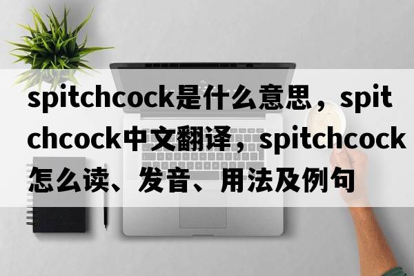 spitchcock是什么意思，spitchcock中文翻譯，spitchcock怎么讀、發(fā)音、用法及例句