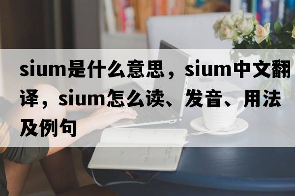 SIUM是什么意思，SIUM中文翻譯，SIUM怎么讀、發(fā)音、用法及例句