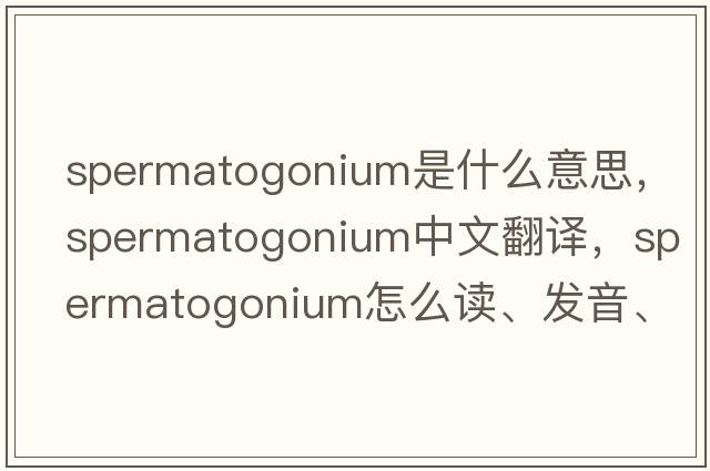 spermatogonium是什么意思，spermatogonium中文翻譯，spermatogonium怎么讀、發(fā)音、用法及例句