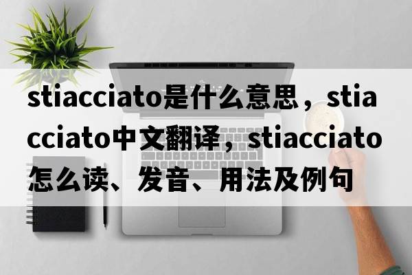 stiacciato是什么意思，stiacciato中文翻譯，stiacciato怎么讀、發(fā)音、用法及例句