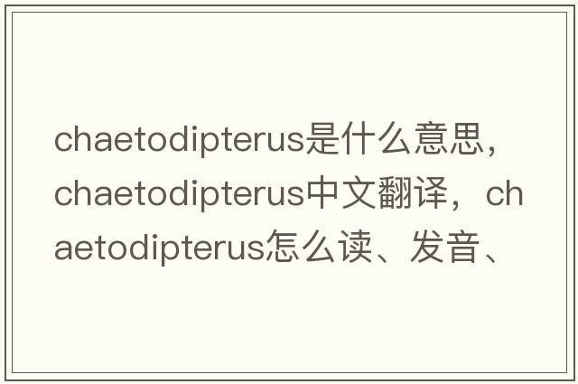 Chaetodipterus是什么意思，Chaetodipterus中文翻譯，Chaetodipterus怎么讀、發(fā)音、用法及例句