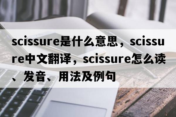 scissure是什么意思，scissure中文翻譯，scissure怎么讀、發(fā)音、用法及例句