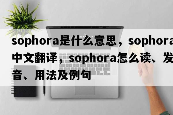 Sophora是什么意思，Sophora中文翻譯，Sophora怎么讀、發(fā)音、用法及例句