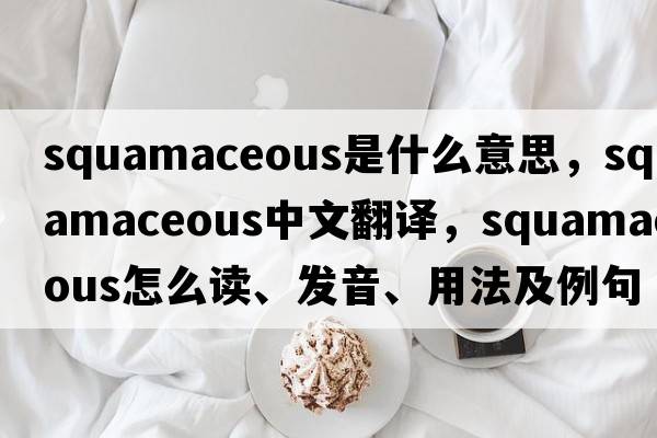 squamaceous是什么意思，squamaceous中文翻譯，squamaceous怎么讀、發(fā)音、用法及例句