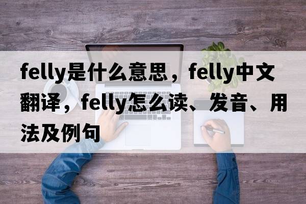 felly是什么意思，felly中文翻譯，felly怎么讀、發(fā)音、用法及例句