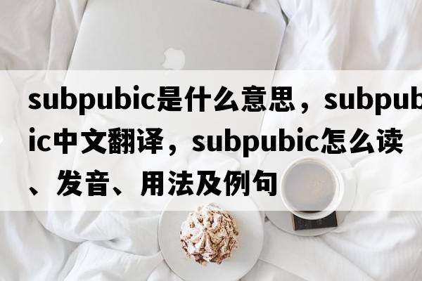 subpubic是什么意思，subpubic中文翻譯，subpubic怎么讀、發(fā)音、用法及例句