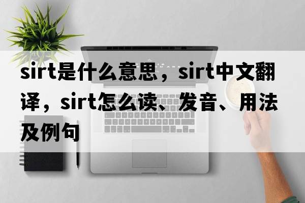 SIRT是什么意思，SIRT中文翻譯，SIRT怎么讀、發(fā)音、用法及例句