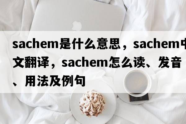 sachem是什么意思，sachem中文翻譯，sachem怎么讀、發(fā)音、用法及例句