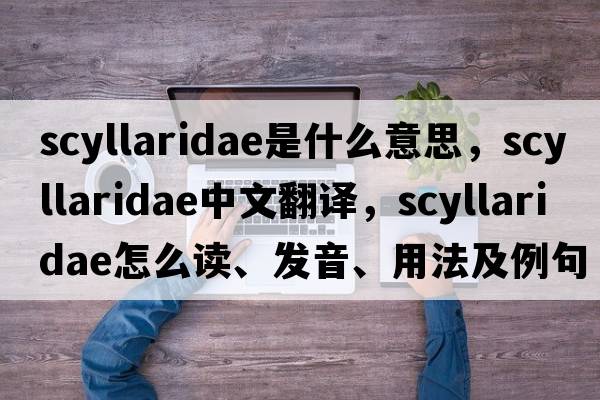 Scyllaridae是什么意思，Scyllaridae中文翻譯，Scyllaridae怎么讀、發(fā)音、用法及例句