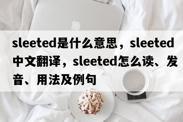 sleeted是什么意思，sleeted中文翻譯，sleeted怎么讀、發(fā)音、用法及例句