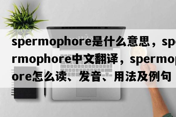 spermophore是什么意思，spermophore中文翻譯，spermophore怎么讀、發(fā)音、用法及例句