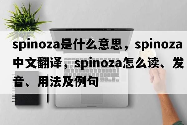 Spinoza是什么意思，Spinoza中文翻譯，Spinoza怎么讀、發(fā)音、用法及例句
