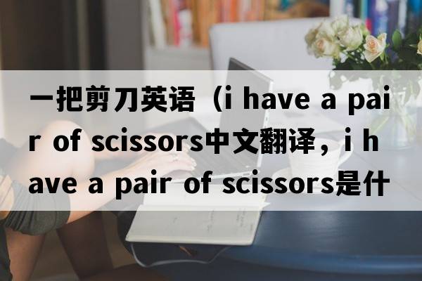 一把剪刀英語（i have a pair of scissors中文翻譯，i have a pair of scissors是什么意思，i have a pair of scissors發(fā)音、用法及例