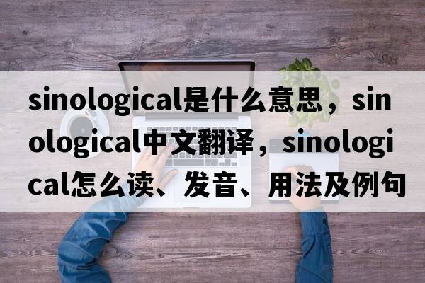 Sinological是什么意思，Sinological中文翻譯，Sinological怎么讀、發(fā)音、用法及例句