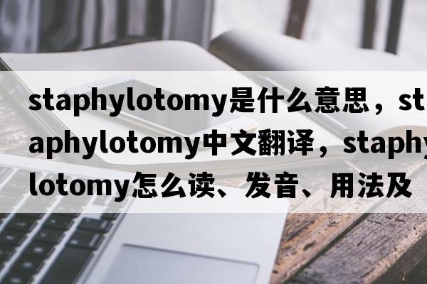 staphylotomy是什么意思，staphylotomy中文翻譯，staphylotomy怎么讀、發(fā)音、用法及例句