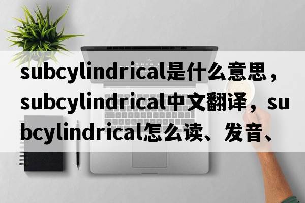 subcylindrical是什么意思，subcylindrical中文翻譯，subcylindrical怎么讀、發(fā)音、用法及例句